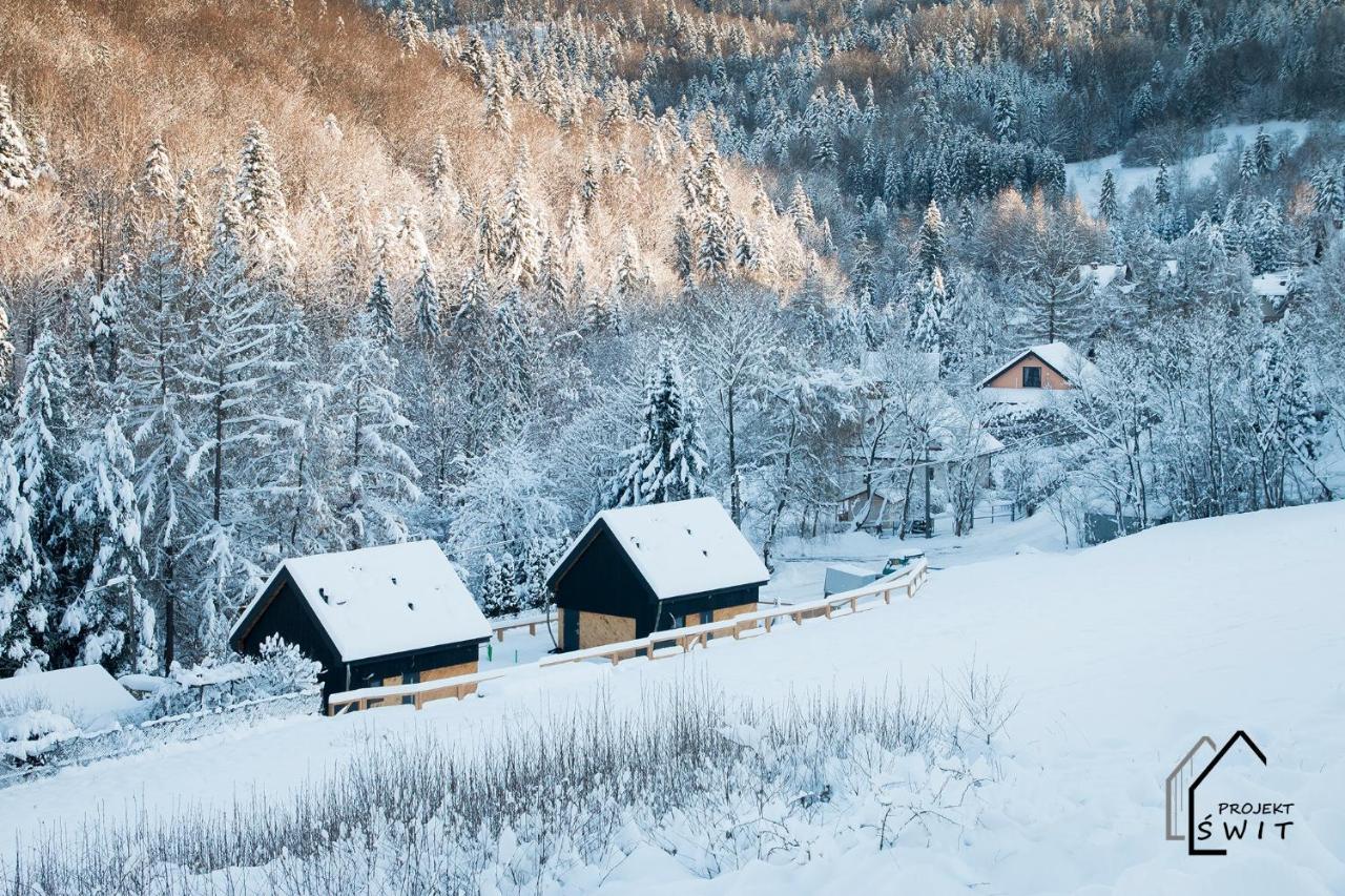 Projekt Swit - Domki Z Prywatna Jacuzzi I Sauna Żywiec Exterior foto