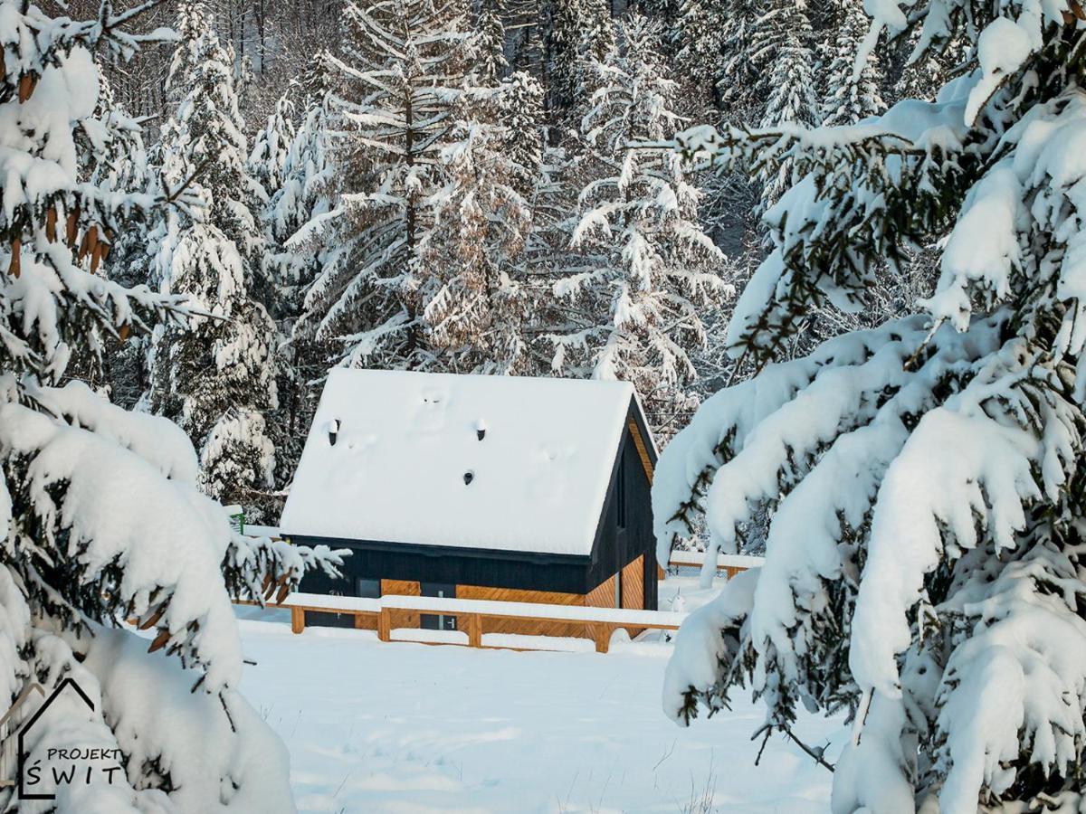 Projekt Swit - Domki Z Prywatna Jacuzzi I Sauna Żywiec Exterior foto