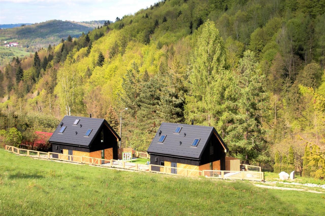 Projekt Swit - Domki Z Prywatna Jacuzzi I Sauna Żywiec Exterior foto