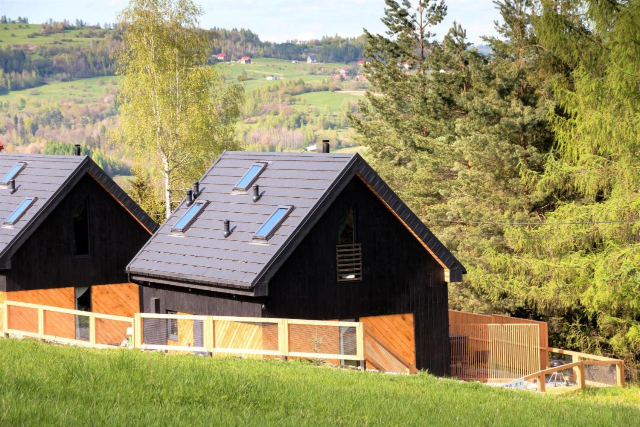 Projekt Swit - Domki Z Prywatna Jacuzzi I Sauna Żywiec Exterior foto
